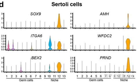 单细胞文献阅读：the Adult Human Testis Transcriptional …… 知乎