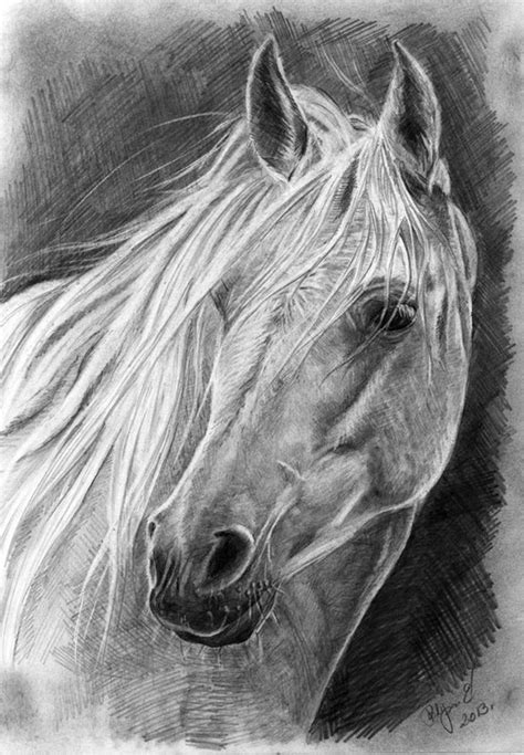 Black And White Horse Sketches at PaintingValley.com | Explore ...