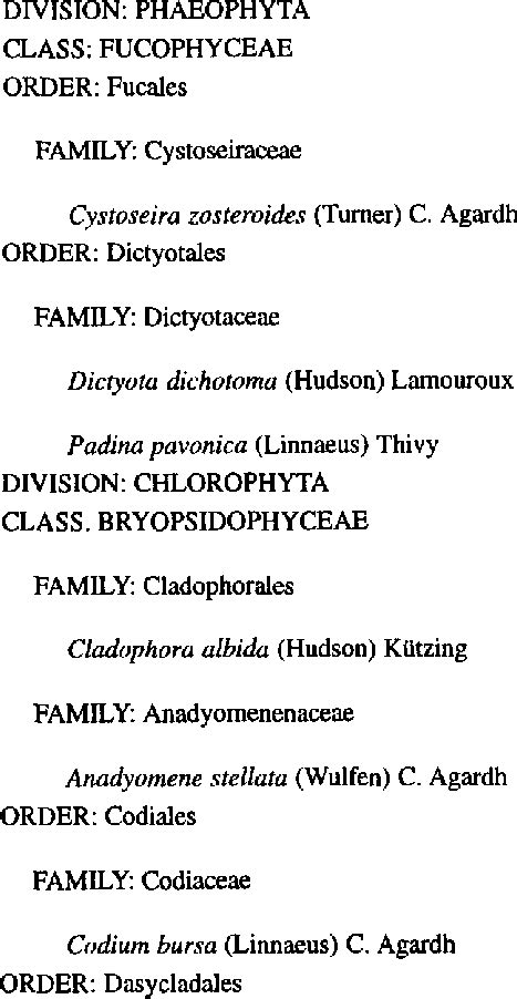 Systematic Classification Of Macroalgae Of The Antikyra Gulf Used In