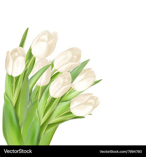 Tulips Decorative Background Eps Royalty Free Vector