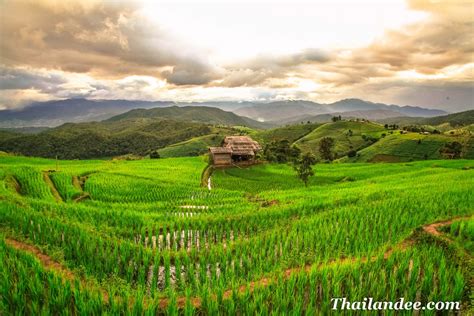 Chiang Mai La Saison Verte Office National Du Tourisme De Tha Lande