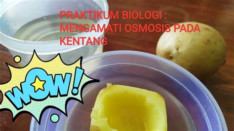 Praktikum Osmosis Pada Kentang Menggunakan Garam Homecare24