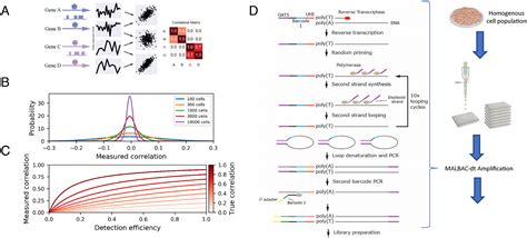 Correlated Gene Modules Uncovered By High Precision Single Cell