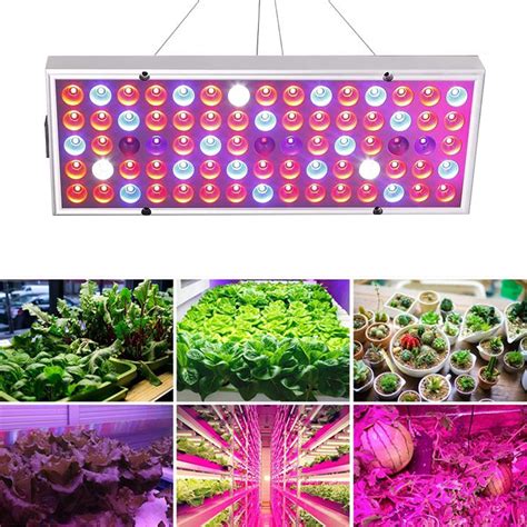 800W/1200W LED Grow Lights for Indoor & Outdoor Plants, Plant Growth Lamp Panel Hydroponic Full ...