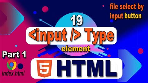 Input Tag Attributes Type Input Types In HTML Every Web Developer