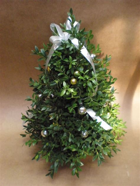 How To Make A Tabletop Boxwood Tree Beyond Behnkes Boxwood Tree Tabletop Christmas Tree