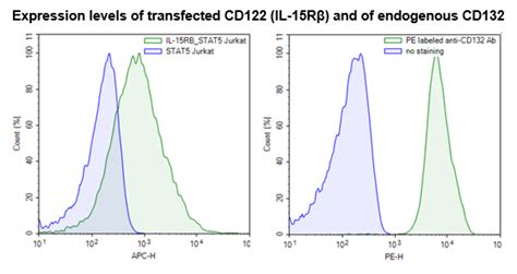 IL 15 Responsive Luciferase Reporter Cell Line BPS Bioscience