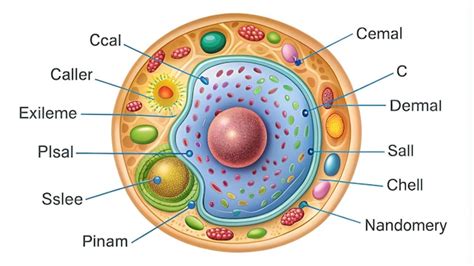 premium photo normal cell