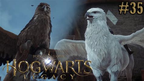 Hogwarts Legacy Hippogreif Finden Und Retten Mit Natsai Youtube