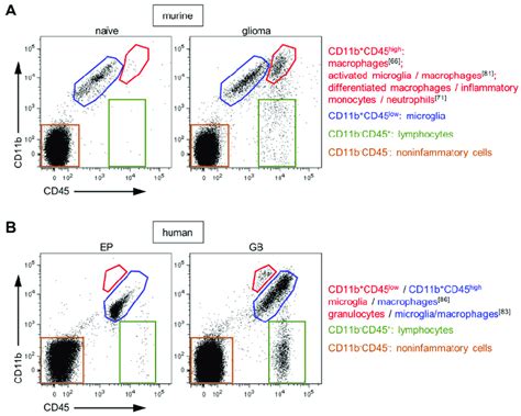 Flow Cytometry Analyses Of Brain Tissues By Cd B And Cd Staining