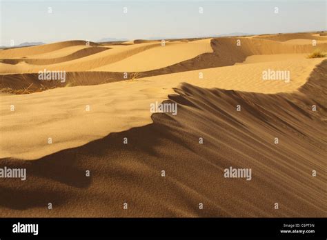 Sahara Desert Morocco Stock Photo Alamy