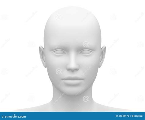 Blank White Female Head - Front View Stock Illustration - Illustration ...