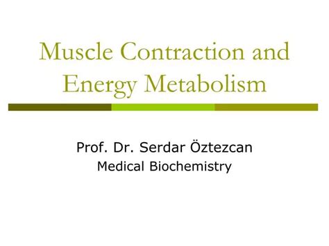 Ppt Muscle Contraction And Energy Metabolism Powerpoint Presentation