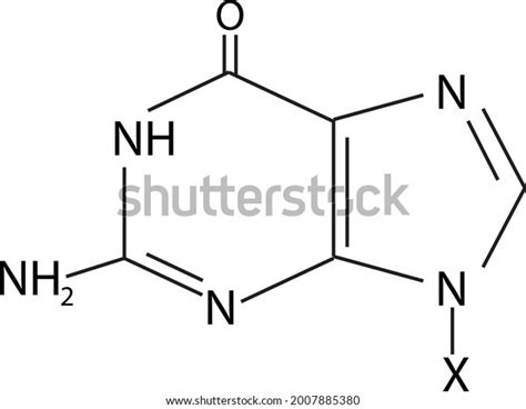 Chemical Structure Guanine Molecule Stock Vector Royalty Free 2007885380 Shutterstock