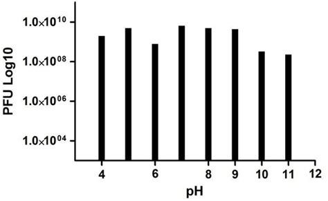 The Lytic Sa Phage Demonstrate Bactericidal Activity Against Mastitis