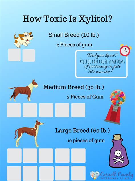 Why Is Xylitol Harmful To Dogs at Alex Cruz blog