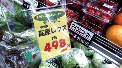 日照不足で野菜は高騰する！考えられる原因や代わりになる野菜とは