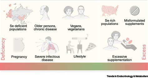 Figure 4 From Selenium Diabetes And Their Intricate Sex Specific