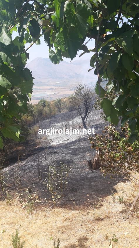 Vat R E Madhe Zjarri N Dropull Rrezikohen Banesat N Fshatin Radat Foto