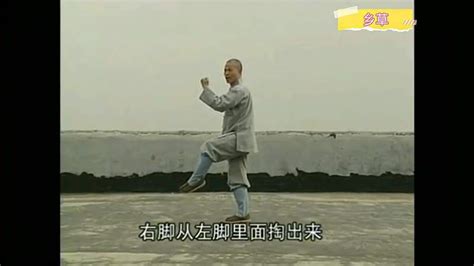 少林《大通臂拳》第一路02（详细动作讲解示范教程） 体育 武术 好看视频