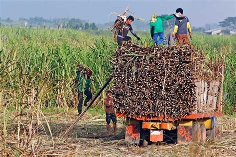 Bagong Irrigation System Para Sa Sugar Farming Ipinakilala Ng Mga