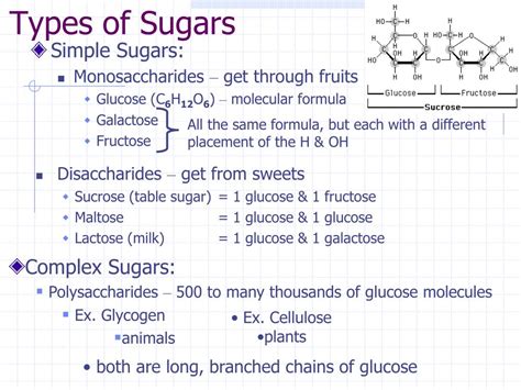 Complex Sugars Definition In Biology At Collinewelshs Blog