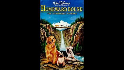 Homeward Bound The Incredible Journey Poster