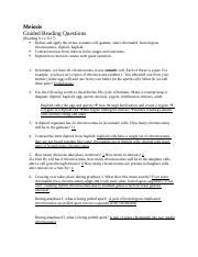 L Grqs Meiosis And Non Disjunction Docx Meiosis Guided Reading