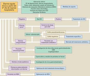 Protocolo Diagn Stico Y Terap Utico De La Diarrea Aguda En El Entorno
