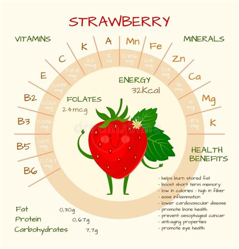 Strawberry Nutrition Facts stock vector. Illustration of label - 53685028