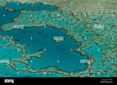 Aerial View Of Hardy Reef Home To The Heart Reef In The Great Barrier