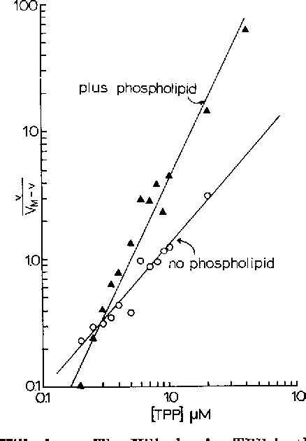 Figure 7 From Crystalline Pyruvate Oxidase From Escherichia Coli Iii