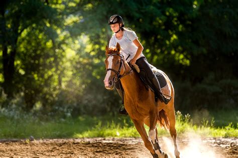 Comment Vous Am Liorer En Quitation Rapidement