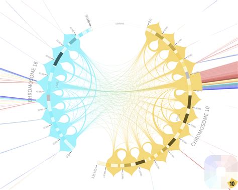 Rondo GenoCat Tools