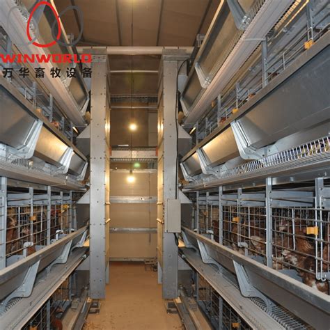 Galvanized Automatic Battery Cage Egg Layer Chicken Farming Poultry