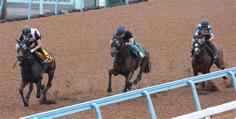 ヴィジョンメーカー「フィジカル面の心配はないし将来性がありそう」と林師／新馬戦 2歳馬特集 競馬写真ニュース 日刊スポーツ