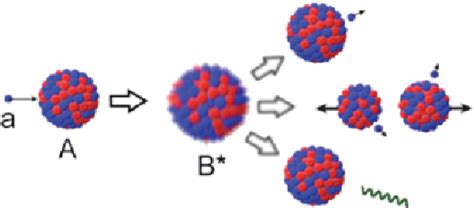 Figure 1 From Calculations Of Compound Nucleus Spin Parity