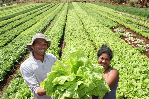 Bônus do PGPAF calculado pela Conab paga mais para produtos do Norte