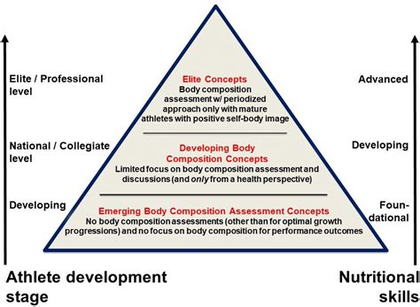 A Conceptual Framework On The Implementation Of Body Composition