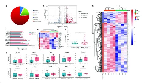 LncRNA MALAT1 Is Upregulated In Granulosa Cells Of Women With PCOS