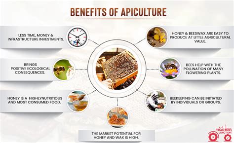 What Is Apiculture Know The Methods Cost Profits Of Apiculture