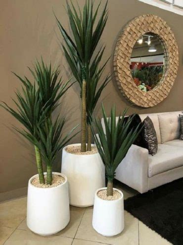 Plantas Artificiais Como Decorar Modelos Para Se Inspirar