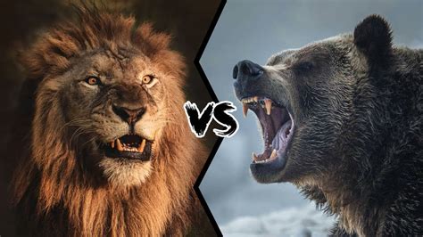 Lion vs. Grizzly Bear by ajolley785727 on DeviantArt