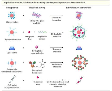 Targeting Strategies For Multifunctional Nanoparticles In Cancer