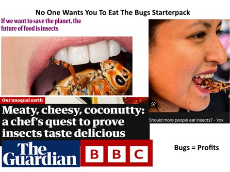 No One Wants You To Eat The Bugs Starterpack Rstarterpacks