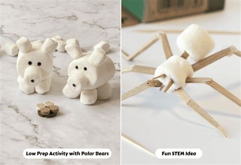 Marshmallow And Toothpick Activity