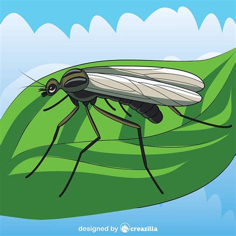 33 Ilustraciones De Gnat Getty Images Clip Art Library