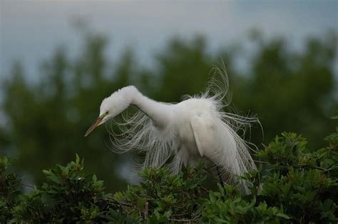 Whirlwind Effect Photograph by Daniel Riddle | Fine Art America