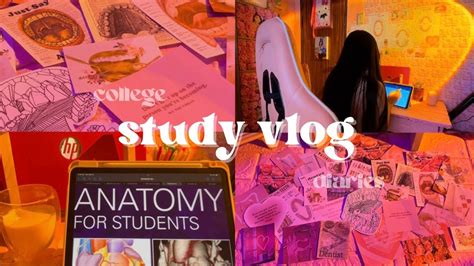 Study Vlog Exam Week Waking At Am Endless Stu Dying For Exams