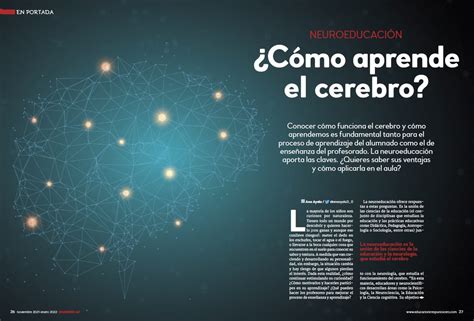 Neuroeducación cómo aprende el cerebro